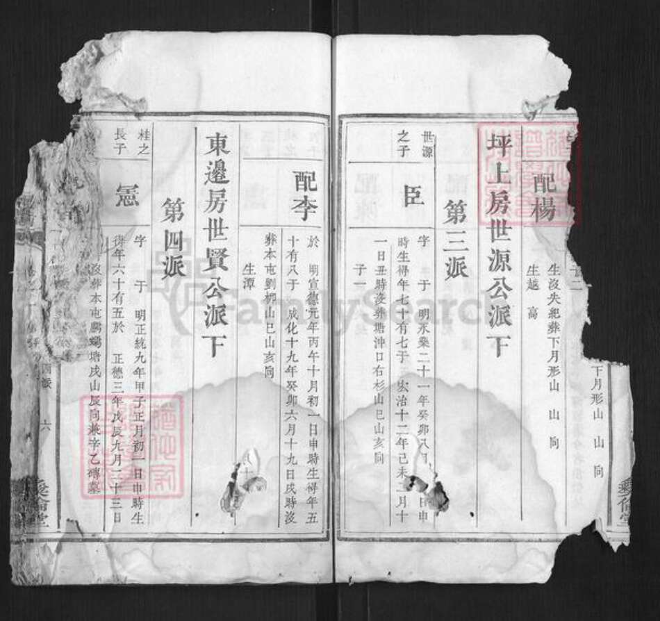 湖南省湘潭市张氏族谱-张氏续修族谱.pdf电子版预览图5