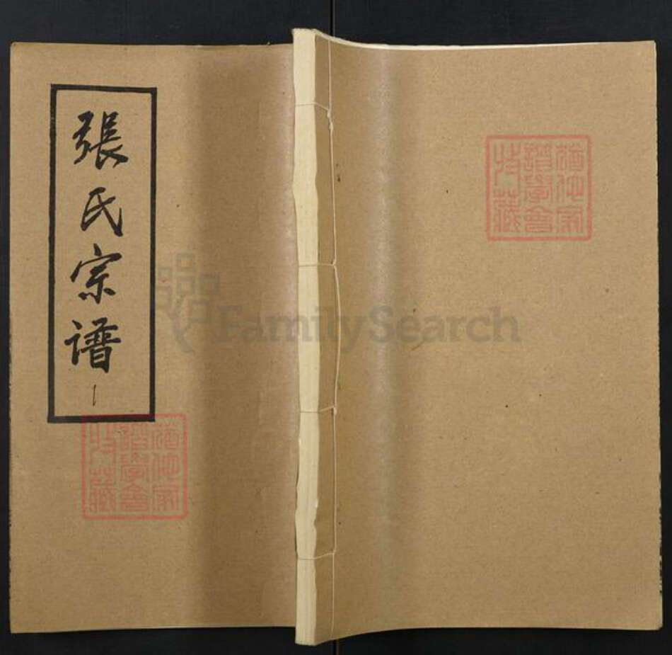 湖北省黄冈市张氏族谱-张氏宗谱.pdf电子版缩略图