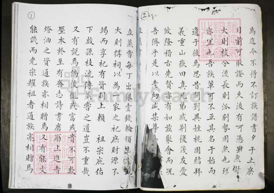 广东省河源市连平县广东省河源市连平县张氏族谱-梅花祠谱.pdf电子版预览图2