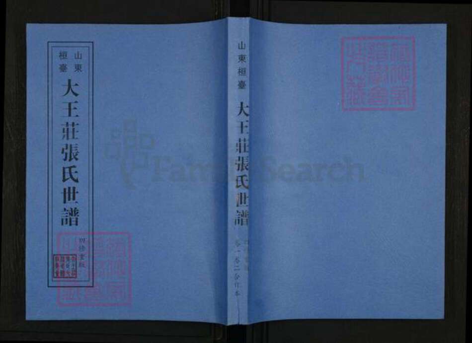 山东省淄博市桓台县张氏族谱-张氏世谱[2卷].pdf电子版缩略图