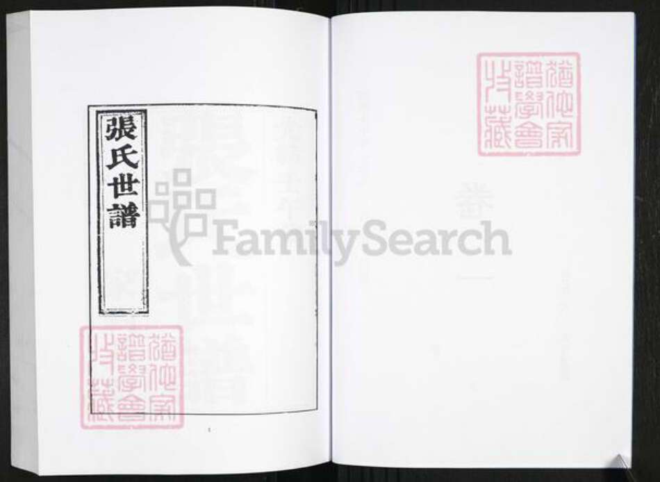 山东省淄博市桓台县张氏族谱-张氏世谱[2卷].pdf电子版预览图5