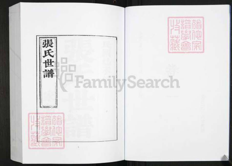 山东省淄博市桓台县张氏族谱-张氏世谱[4卷].pdf电子版预览图5