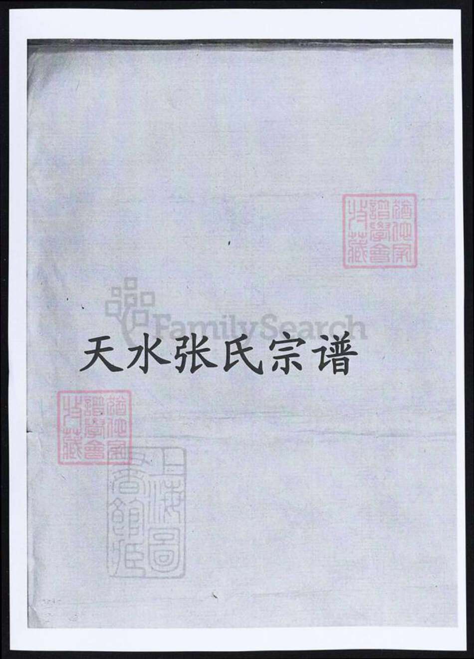 甘肃省天水张氏族谱-天水张氏宗谱.pdf电子版缩略图