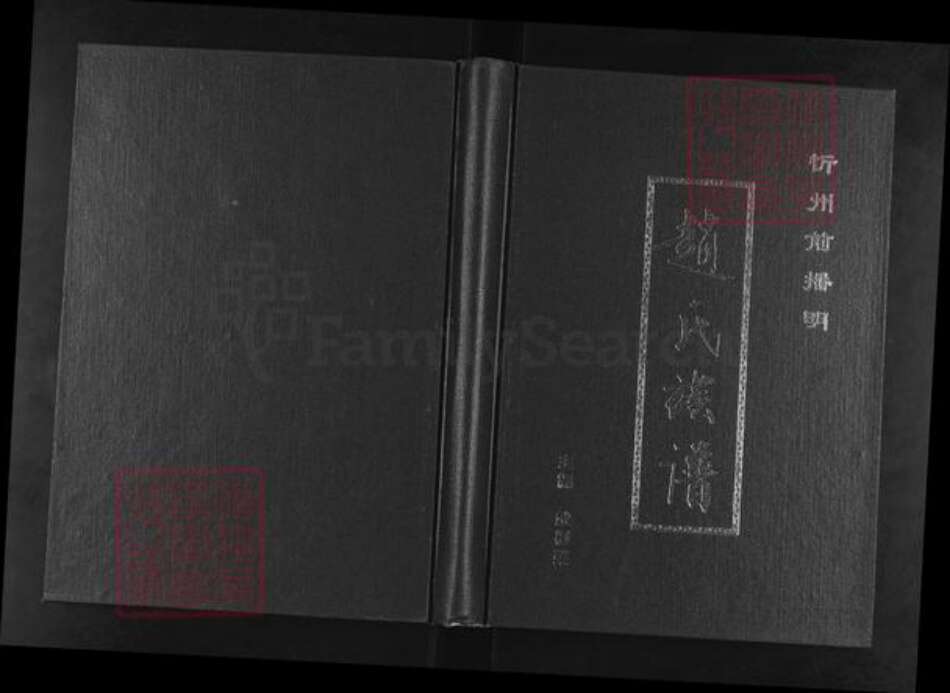 山西省忻州市忻府区播明镇赵氏族谱-赵氏族谱.pdf电子版缩略图