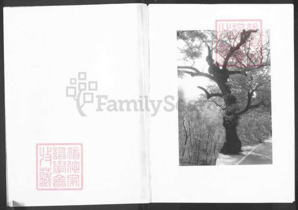 山东省潍坊市临朐县赵氏族谱-赵氏族谱.pdf电子版预览图2