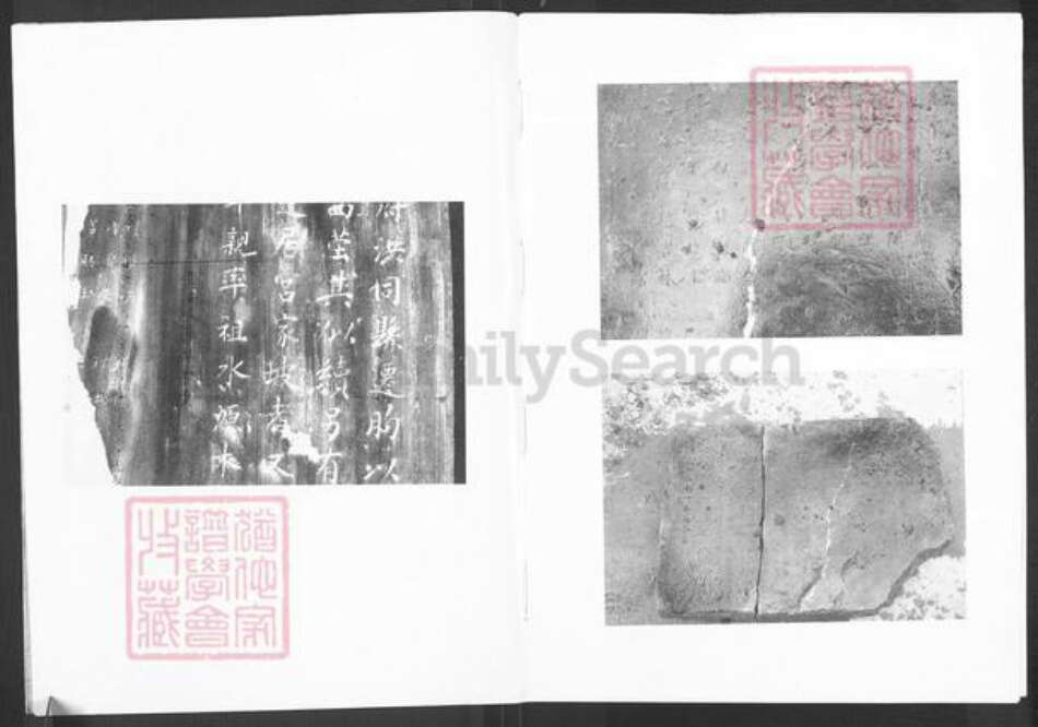 山东省潍坊市临朐县赵氏族谱-赵氏族谱.pdf电子版预览图3