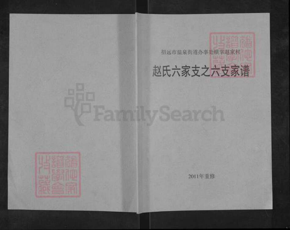 山东省烟台市招远市赵氏族谱-赵氏六家支之六支家谱.pdf电子版缩略图