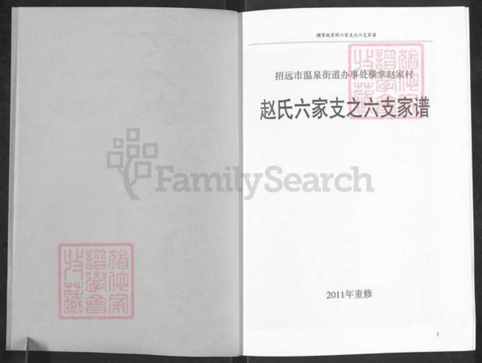 山东省烟台市招远市赵氏族谱-赵氏六家支之六支家谱.pdf电子版预览图2