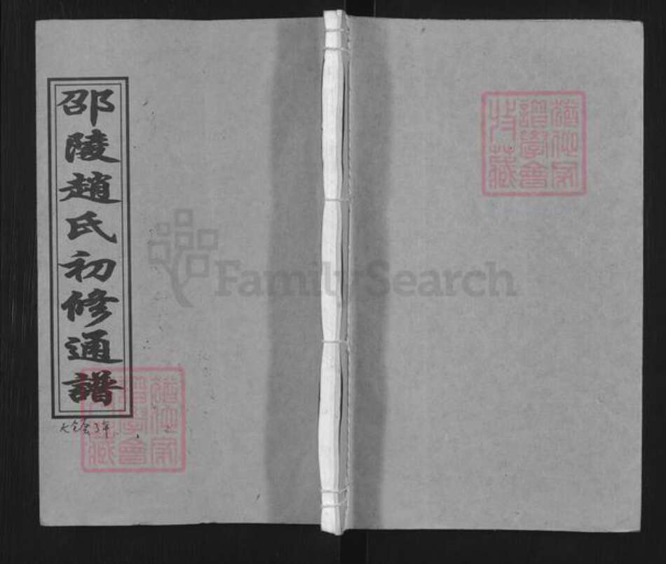 湖南省邵阳市邵东市赵氏琴鹤堂族谱-邵陵赵氏初修通谱.pdf电子版缩略图