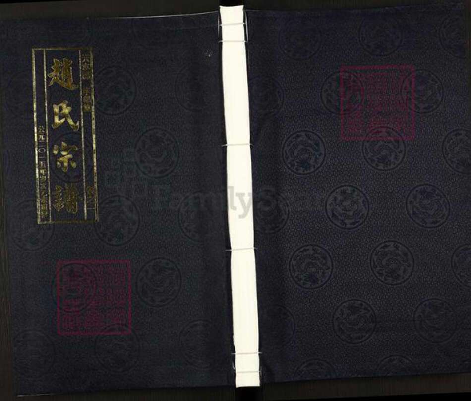 江苏省淮安市涟水县高沟镇赵氏半部堂族谱-赵氏宗谱.pdf电子版缩略图