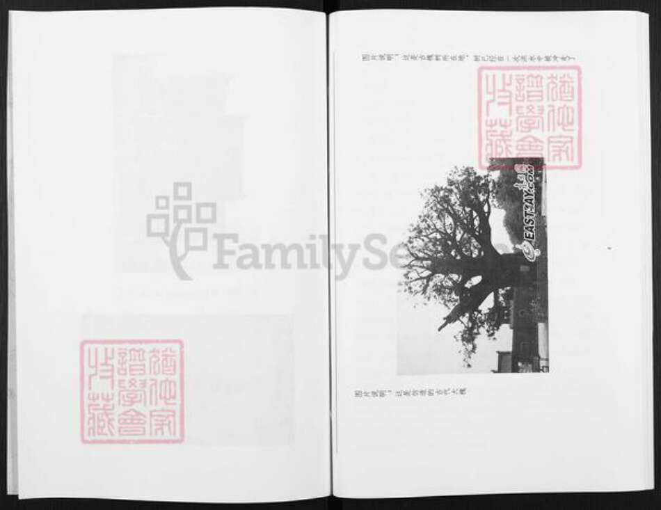 河南省郑州市荥阳市高村乡赵氏族谱-赵氏家谱.pdf电子版预览图4