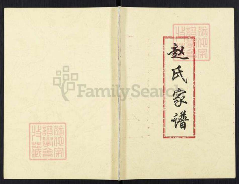 山西省忻州市保德县义门镇赵氏天水堂族谱-赵氏家谱.pdf电子版缩略图