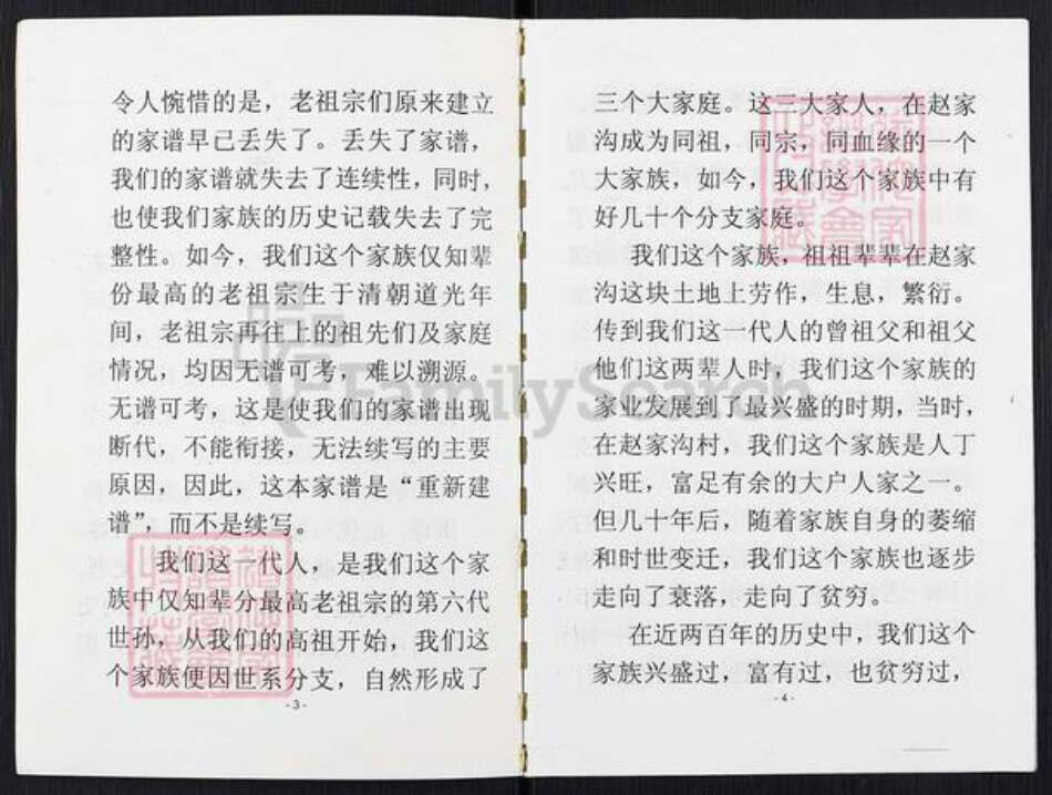 山西省忻州市保德县义门镇赵氏天水堂族谱-赵氏家谱.pdf电子版预览图3