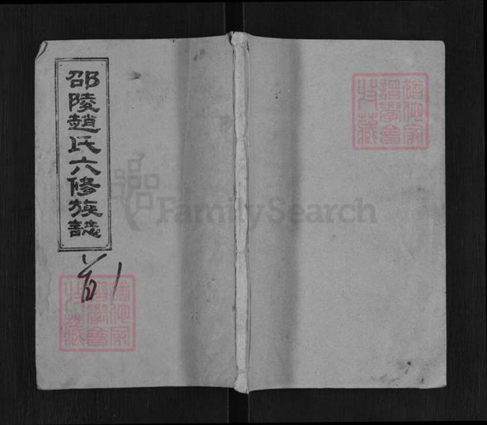 湖南省邵阳市邵阳县赵氏琴鹤堂族谱-邵陵赵氏六修族志.pdf电子版缩略图