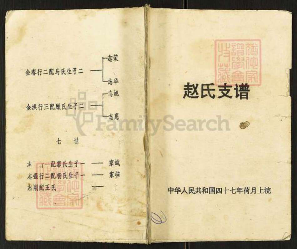 江苏省盐城市阜宁县罗桥镇赵氏半部堂族谱-赵氏支谱.pdf电子版缩略图