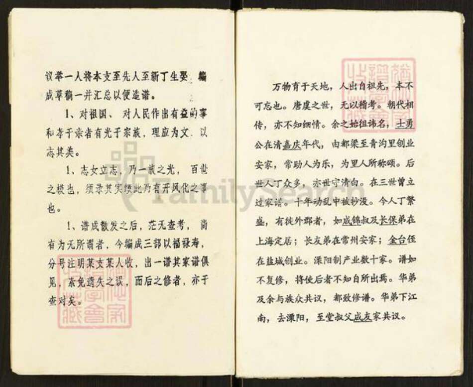 江苏省盐城市阜宁县罗桥镇赵氏半部堂族谱-赵氏支谱.pdf电子版预览图4