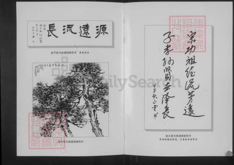 山西省阳泉市平定县锁簧镇赵氏族谱-梨林头赵氏族谱.pdf电子版预览图4