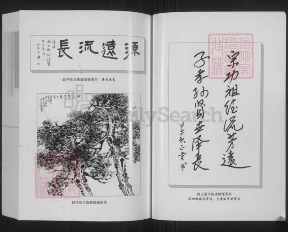 山西省阳泉市平定县锁簧镇赵氏族谱-梨林头赵氏族谱.pdf电子版预览图4