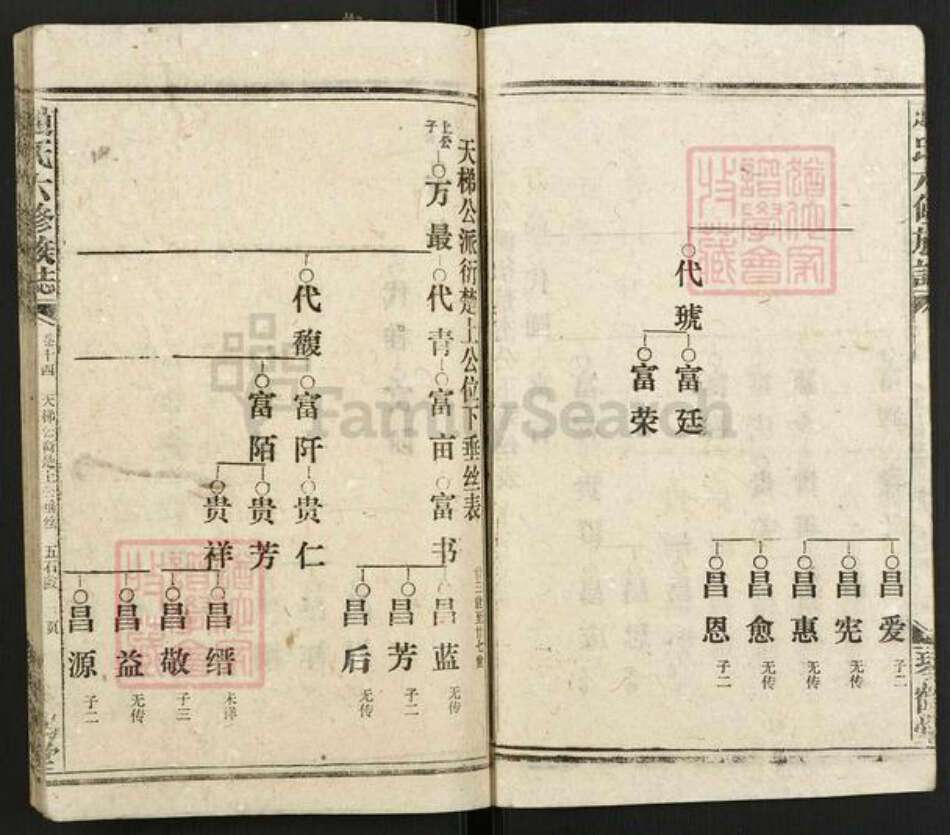 湖南省邵阳市赵氏琴鹤堂族谱-邵陵赵氏六修族谱.pdf电子版预览图3