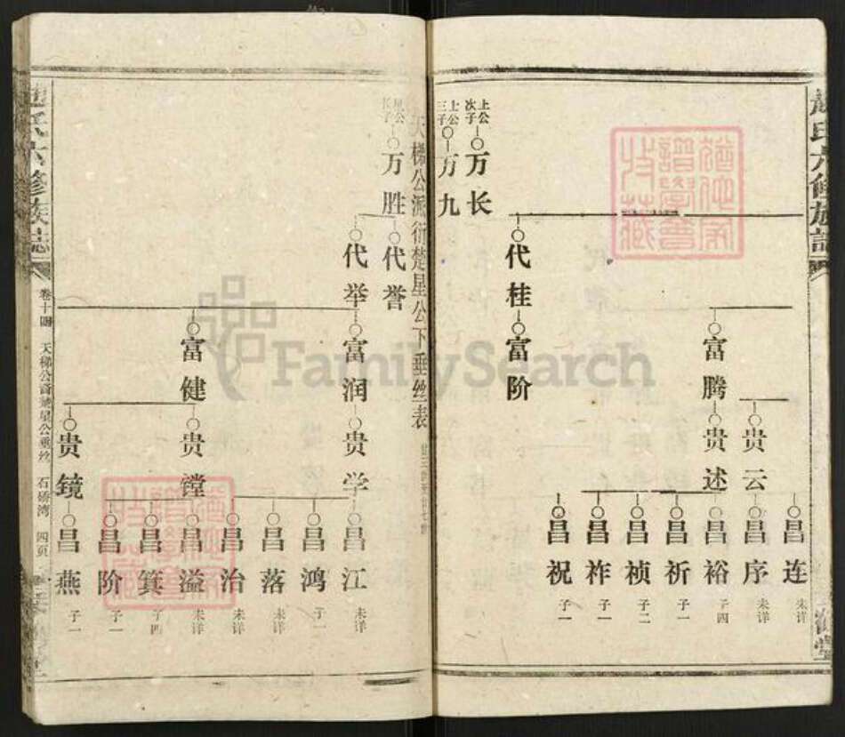湖南省邵阳市赵氏琴鹤堂族谱-邵陵赵氏六修族谱.pdf电子版预览图4