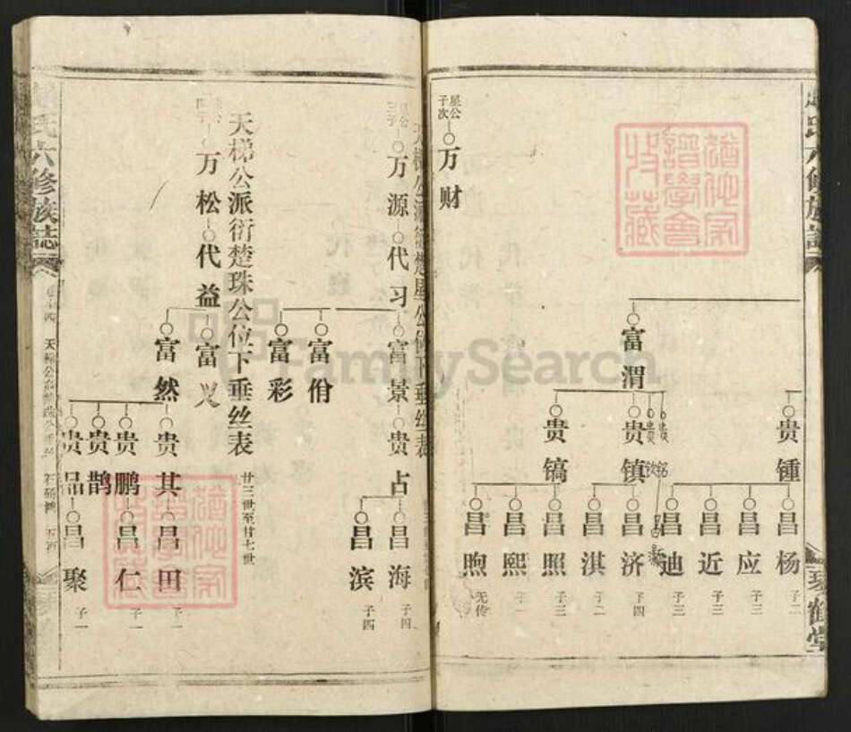 湖南省邵阳市赵氏琴鹤堂族谱-邵陵赵氏六修族谱.pdf电子版预览图5