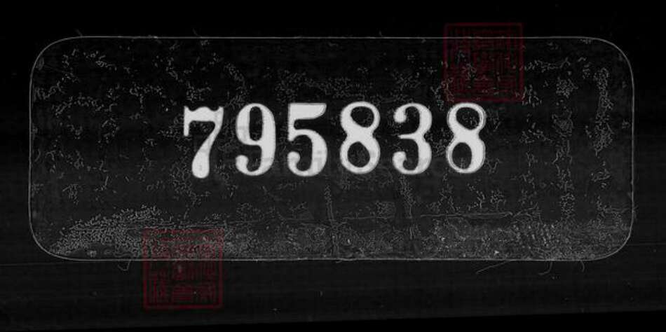 广东省广州市赵氏报本堂族谱-报本堂赵氏族谱.pdf电子版缩略图