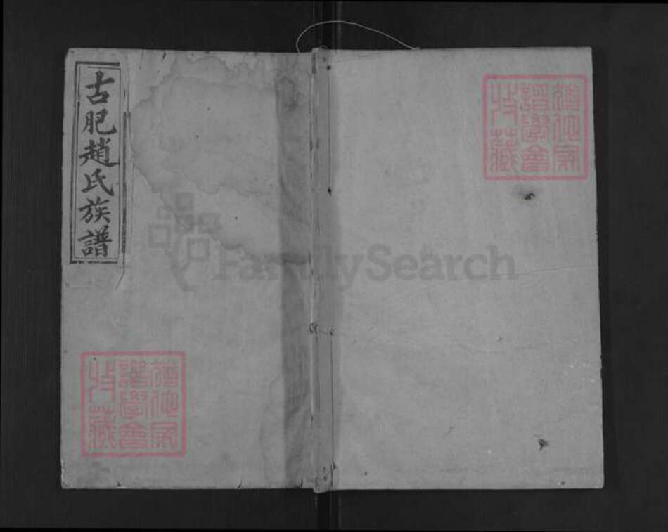 山东省泰安市肥城县仪阳街道赵氏族谱-古肥赵氏族谱.pdf电子版缩略图