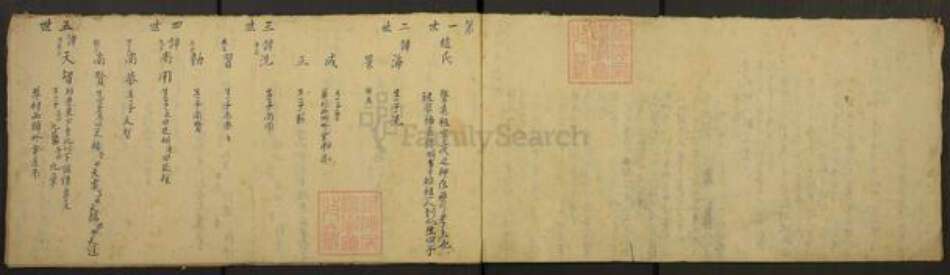 广东省江门市新会区赵氏积善堂族谱-重修东支世系沠谱.pdf电子版预览图2