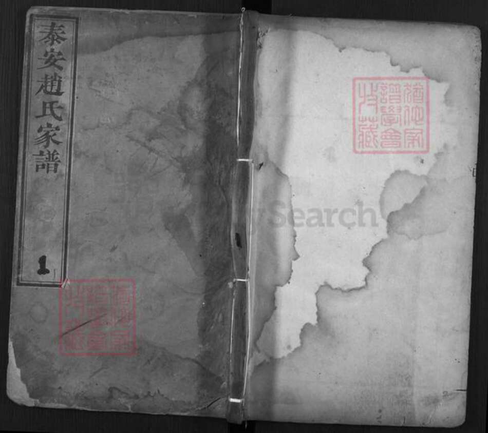 山东省泰安市岱岳区祝阳镇赵氏族谱-泰安赵氏家谱.pdf电子版缩略图