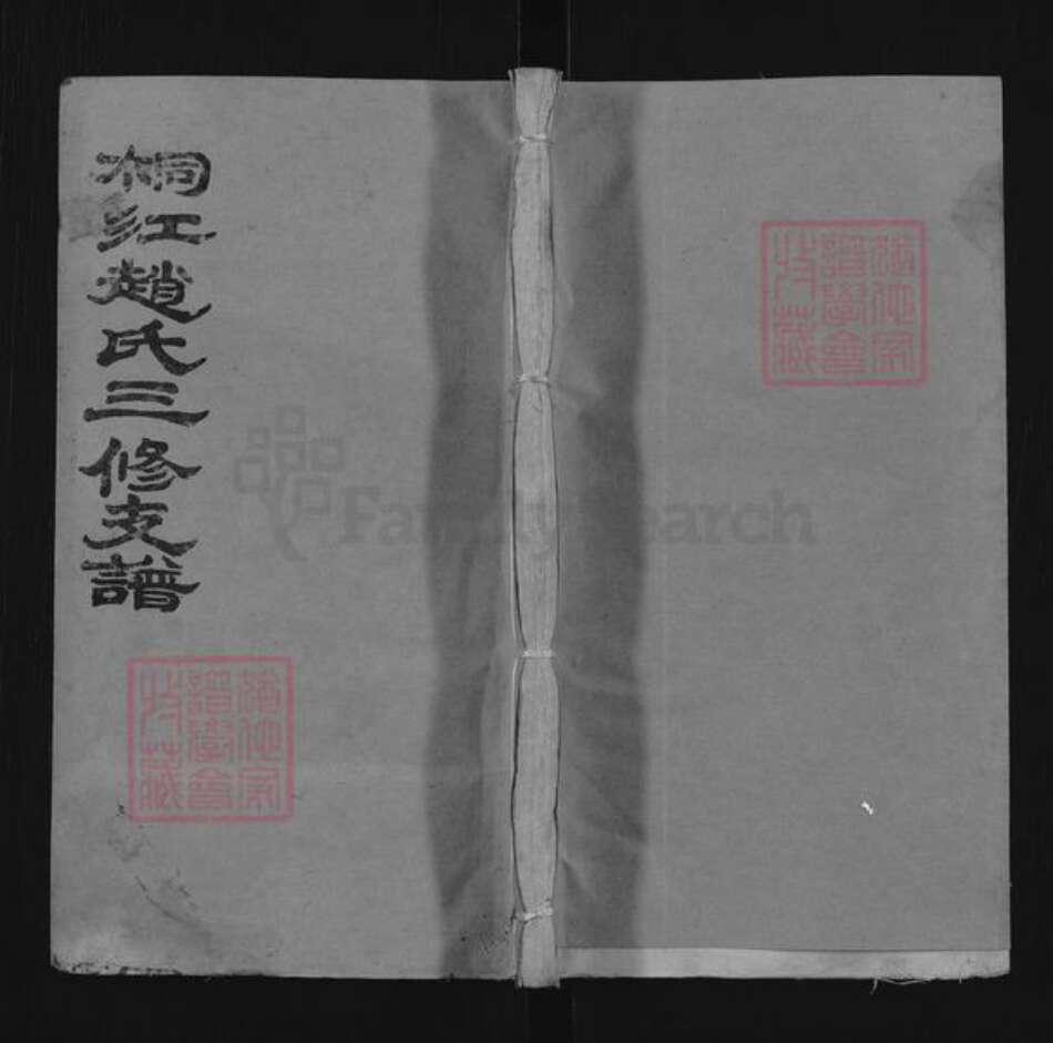 湖南省邵阳市邵东市团山镇赵氏松荫堂族谱-桐江赵氏三修支谱.pdf电子版缩略图