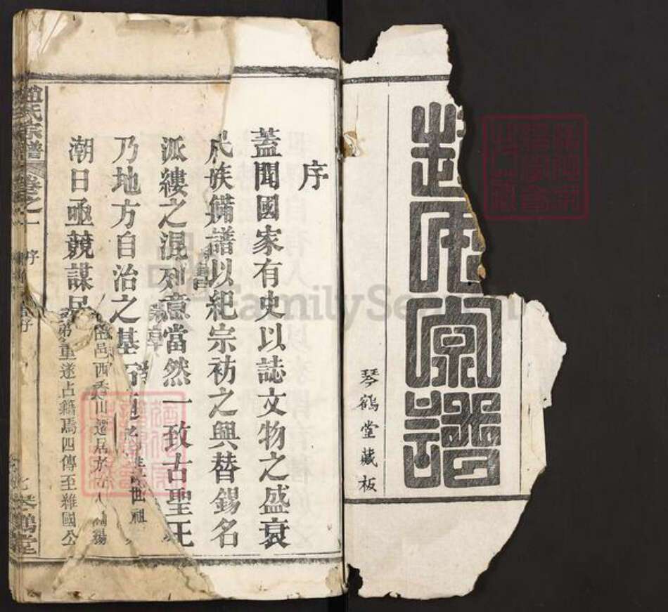 湖北省黄冈市麻城市歧亭镇赵氏琴鹤堂族谱-赵氏宗谱.pdf电子版预览图1