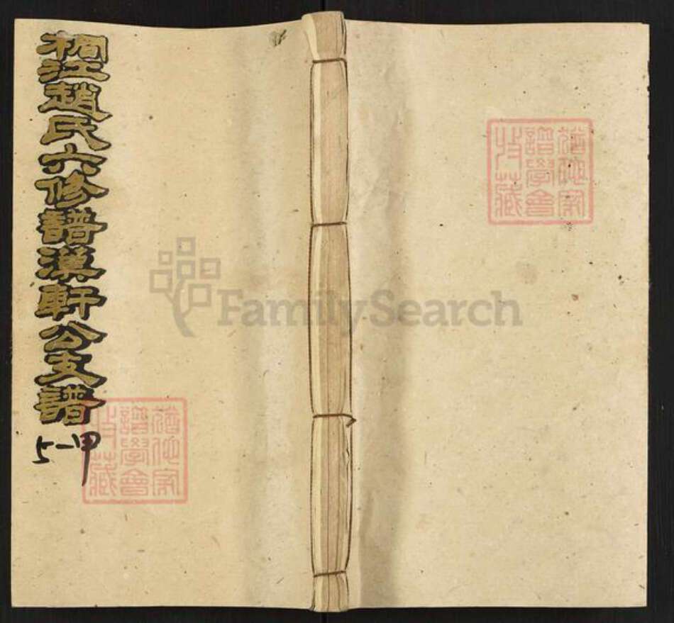 湖南省邵阳市邵东赵氏族谱-桐江赵氏六修谱.汉轩公支谱.pdf电子版缩略图