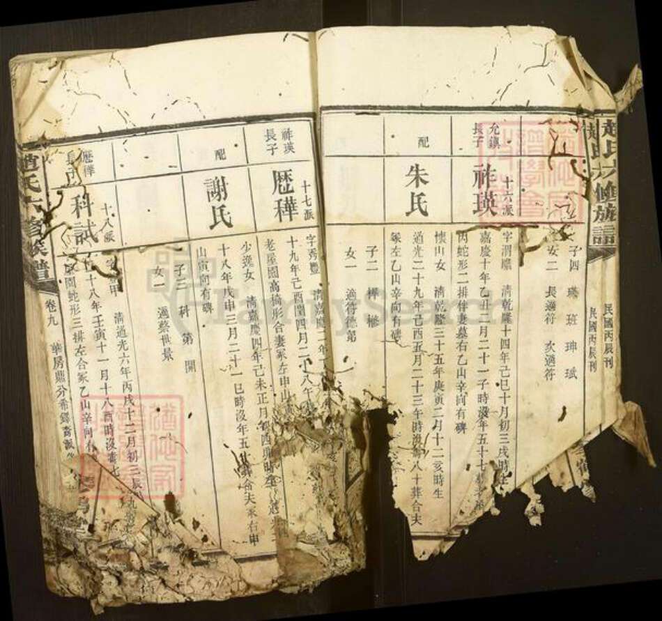 湖南省常德市武陵区赵氏琴鹤堂族谱-赵氏六修族谱.pdf电子版预览图2