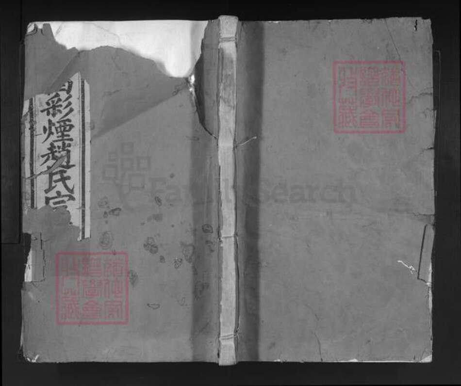 浙江省绍兴新昌县赵氏族谱-新昌彩烟赵氏宗谱.pdf电子版缩略图