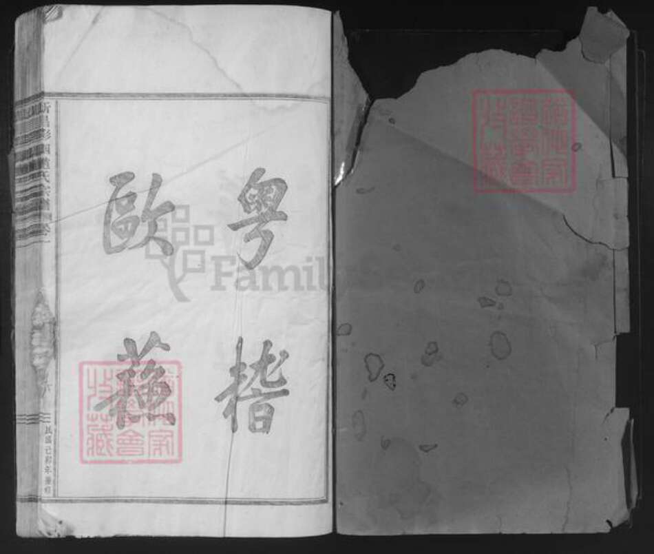 浙江省绍兴新昌县赵氏族谱-新昌彩烟赵氏宗谱.pdf电子版预览图1