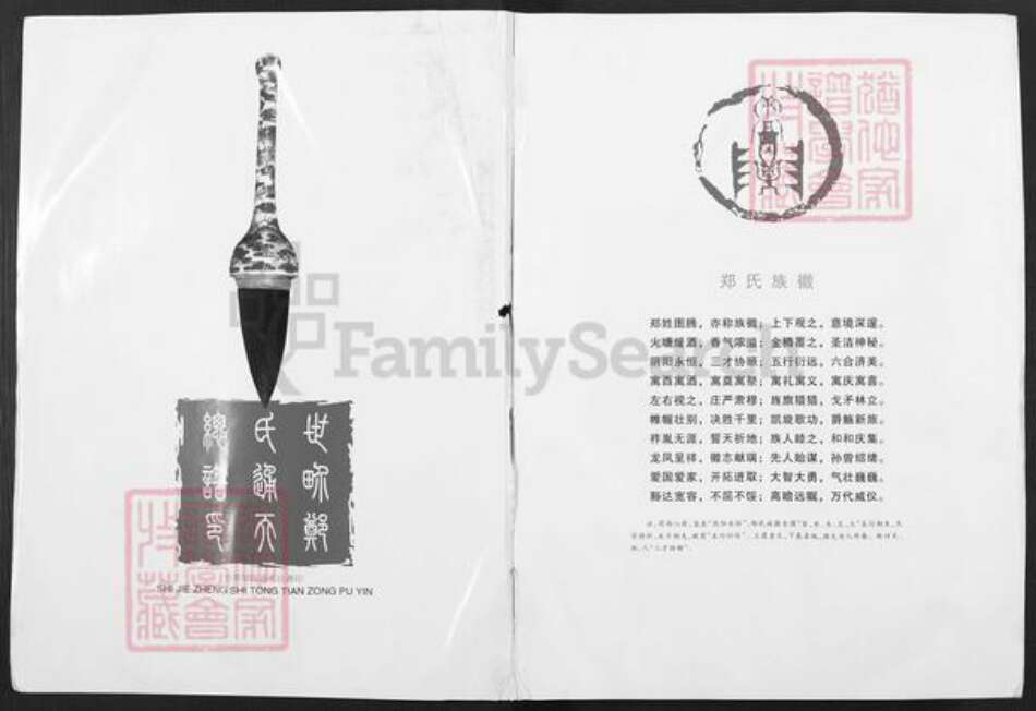 河南省郑州市荥阳市郑氏荥阳堂族谱-郑氏族系大典.pdf电子版预览图1