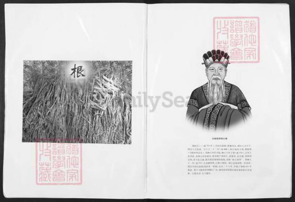 河南省郑州市荥阳市郑氏荥阳堂族谱-郑氏族系大典.pdf电子版预览图4