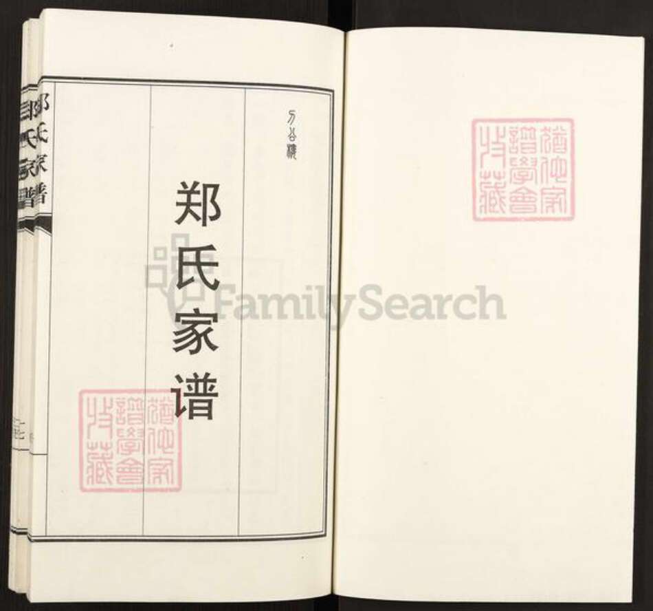 河北省沧州南皮县潞灌乡郑氏族谱-郑氏家谱.pdf电子版预览图1