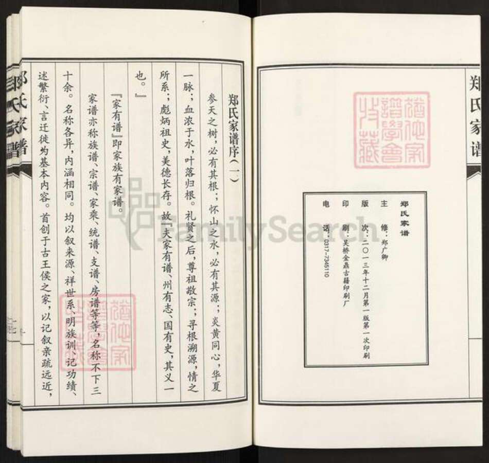 河北省沧州南皮县潞灌乡郑氏族谱-郑氏家谱.pdf电子版预览图2