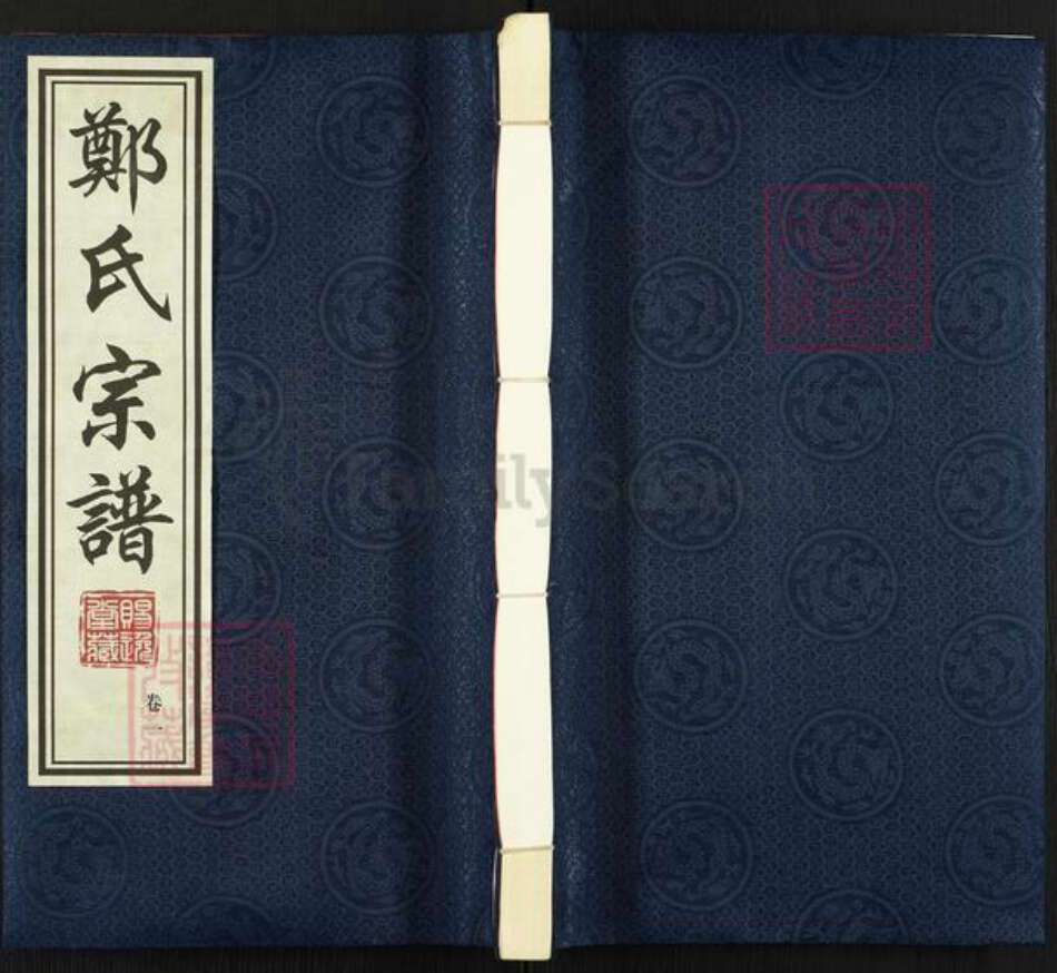 江苏省常州市武进县横林镇郑氏赐逸堂族谱-郑氏宗谱.pdf电子版缩略图