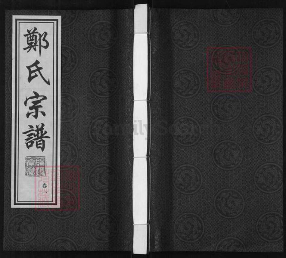 江苏省常州市武进县横林镇郑氏赐逸堂族谱-郑氏宗谱.pdf电子版缩略图