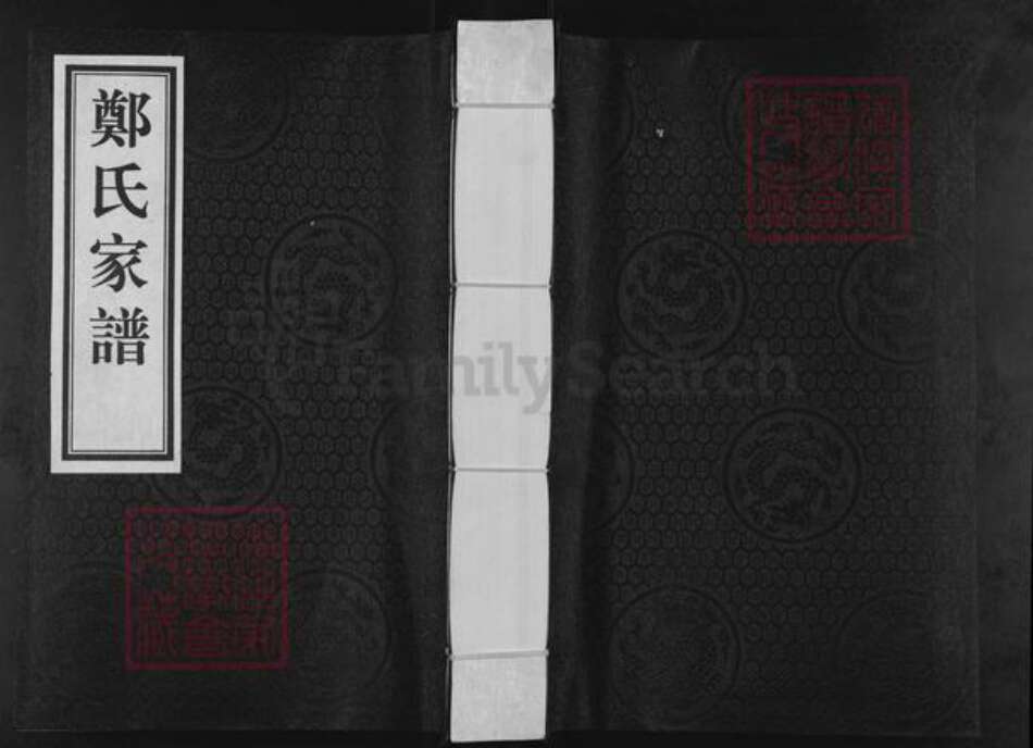 河北省沧州新华区郑氏族谱-郑氏家谱.pdf电子版缩略图