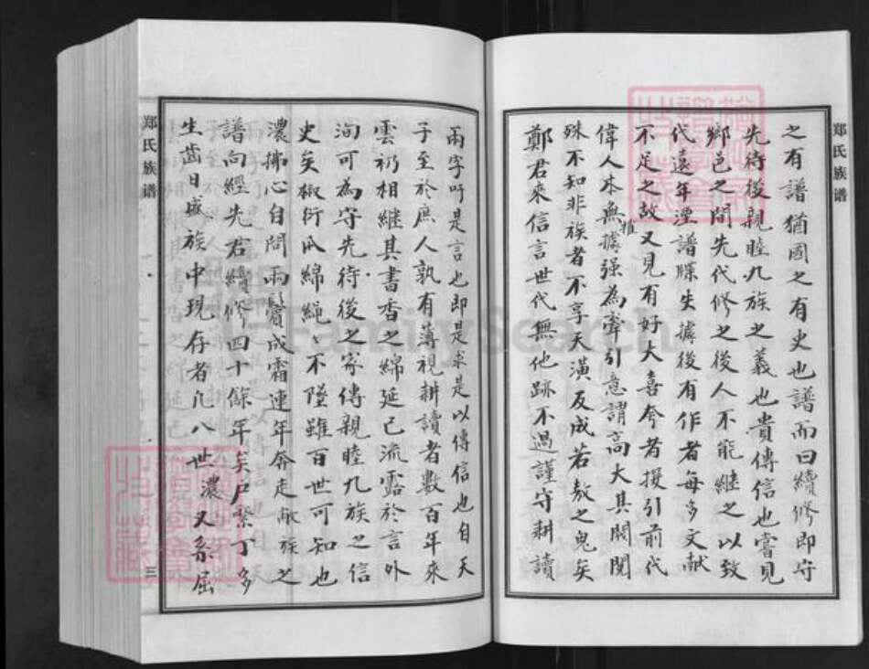 河北省沧州新华区郑氏族谱-郑氏家谱.pdf电子版预览图4