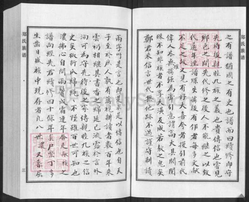 河北省沧州新华区郑氏族谱-郑氏家谱.pdf电子版预览图4