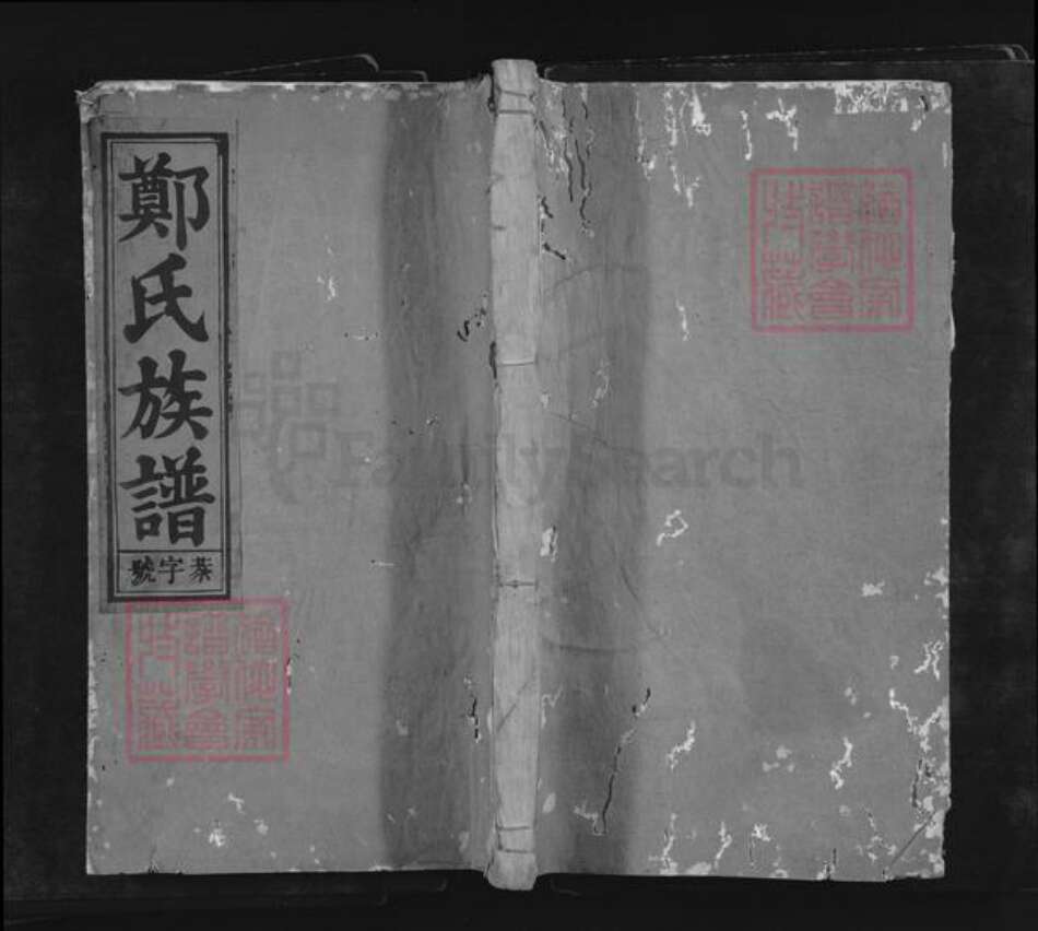 安徽省安庆市怀宁县郑氏崇让堂族谱-郑氏族谱.pdf电子版缩略图