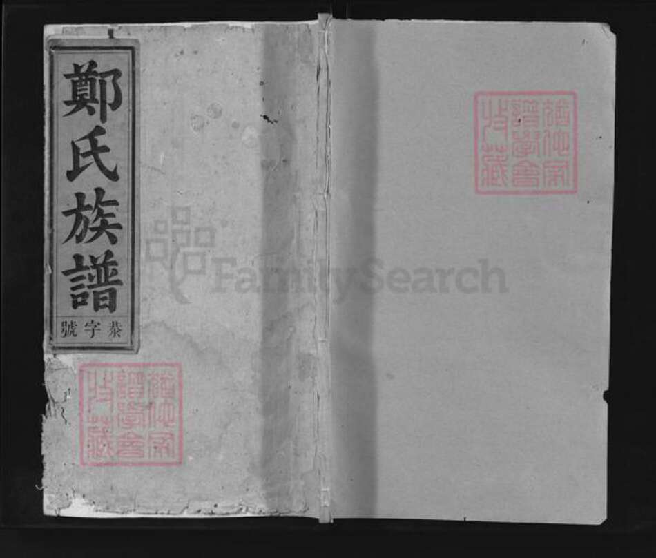 安徽省安庆市怀宁县郑氏崇让堂族谱-郑氏族谱.pdf电子版缩略图