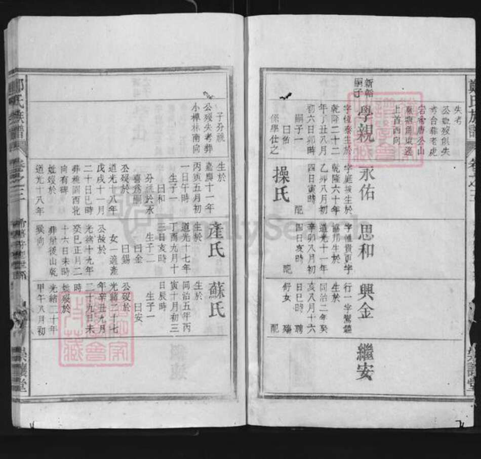 安徽省安庆市怀宁县郑氏崇让堂族谱-郑氏族谱.pdf电子版预览图2