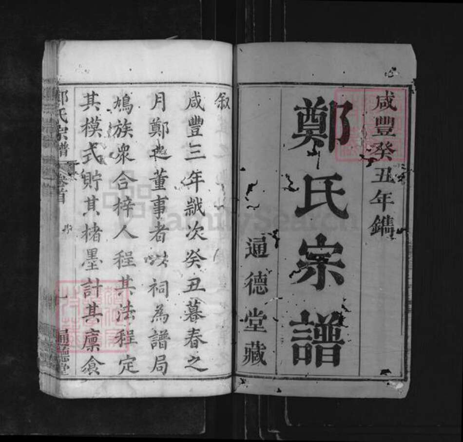 河南省信阳市商城县郑氏通德堂族谱-郑氏宗谱.pdf电子版预览图1