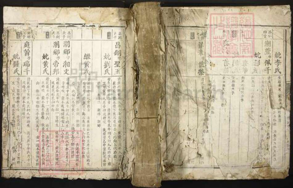 江西省赣州市信丰县郑氏族谱-信邑芹采郑氏四修族谱.pdf电子版缩略图