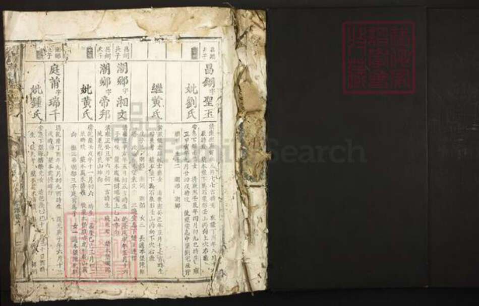 江西省赣州市信丰县郑氏族谱-信邑芹采郑氏四修族谱.pdf电子版预览图1